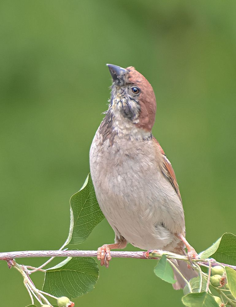 Photograph by Сергей