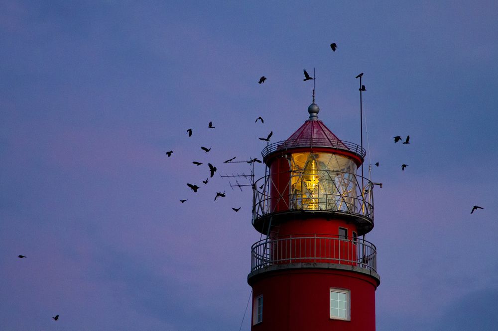 Фотография автора Ксения Зайцева