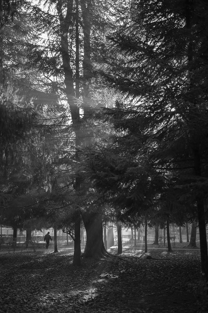 Photograph by Igor Benic