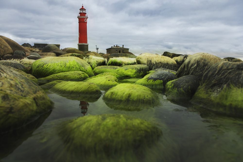 Photograph by Ксения Зайцева