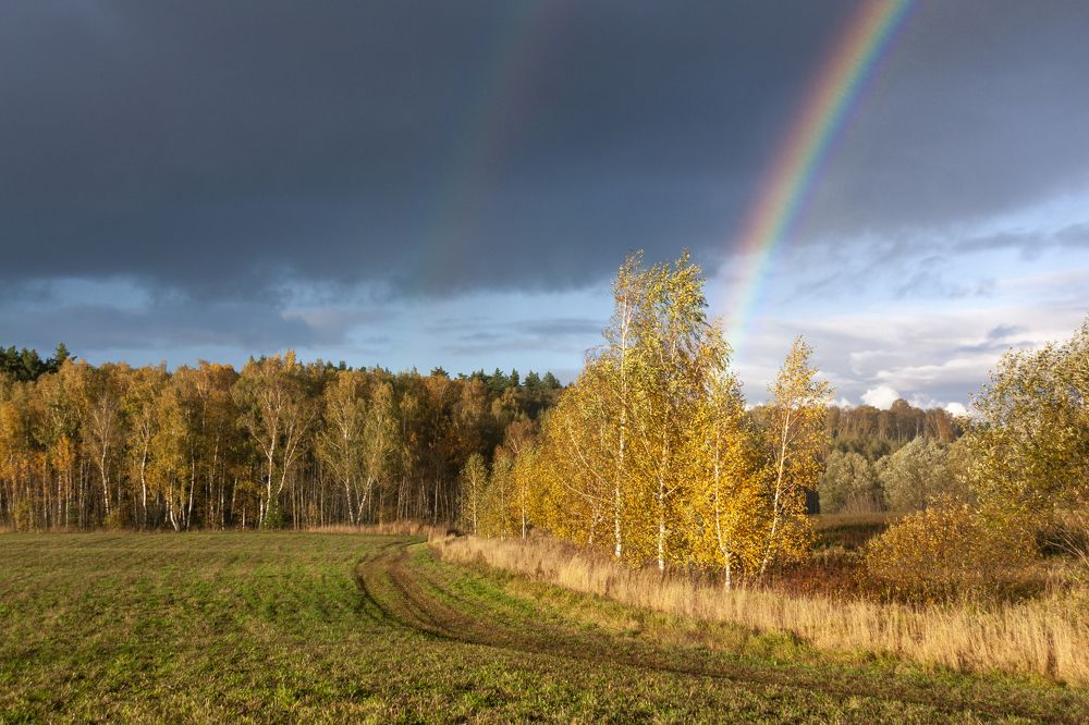 Photograph by Александр Гунин