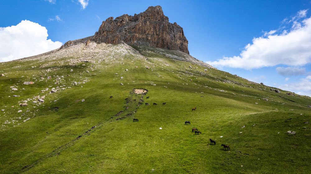 Photograph by Артем Ильин