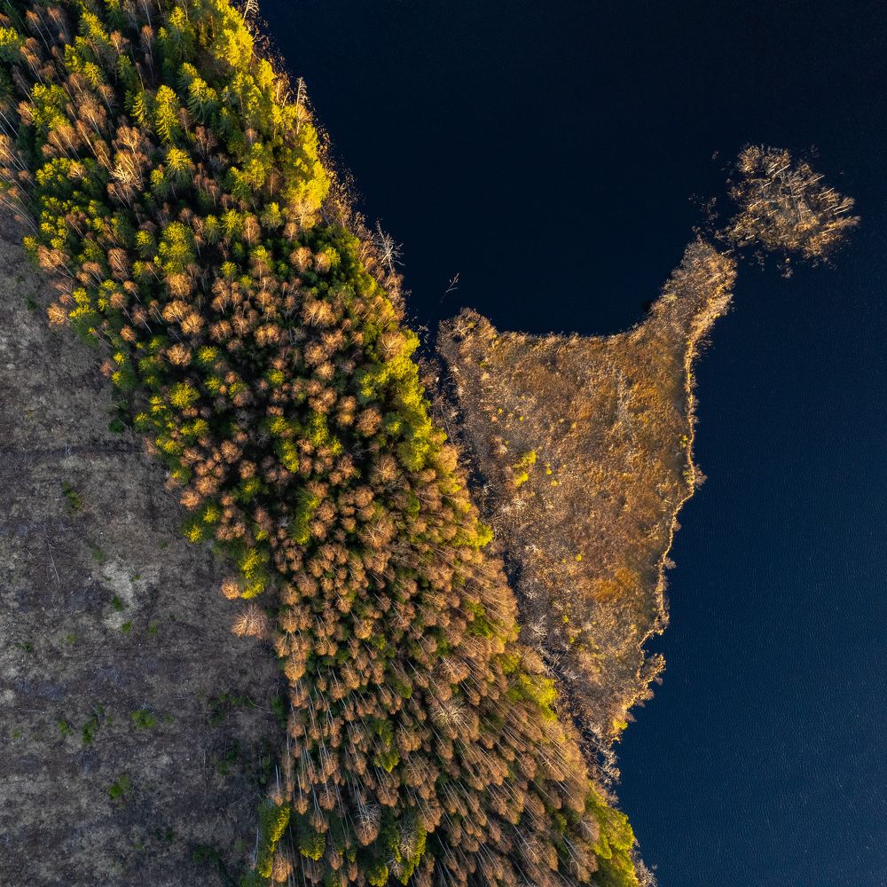 Photograph by Артем Ильин