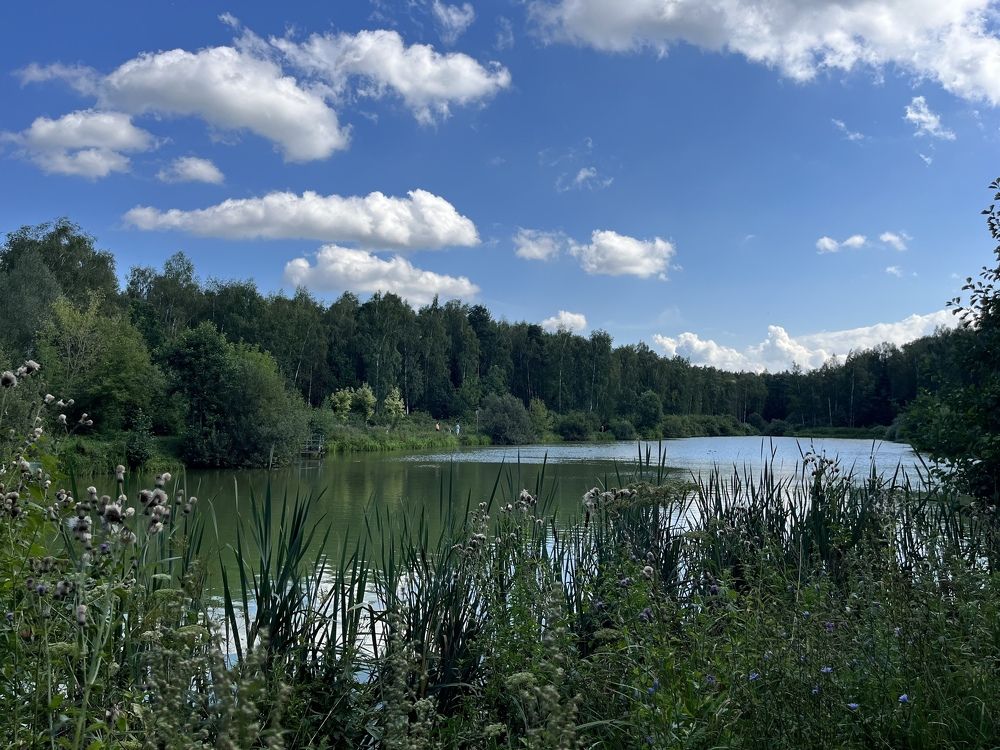 Photograph by Наталья Ермакова