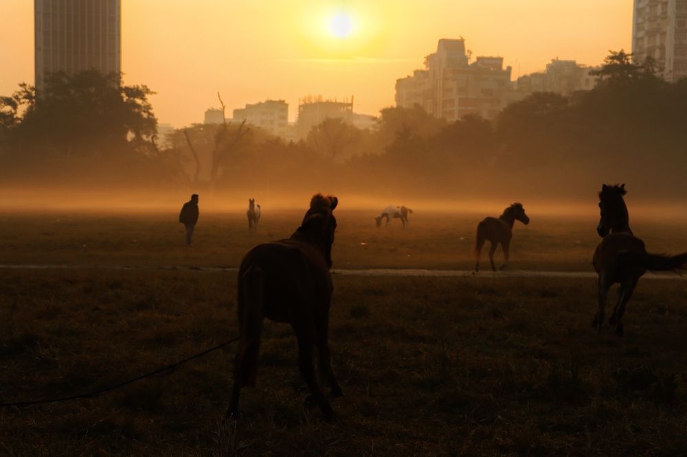 Photograph by Sayan Sarkar