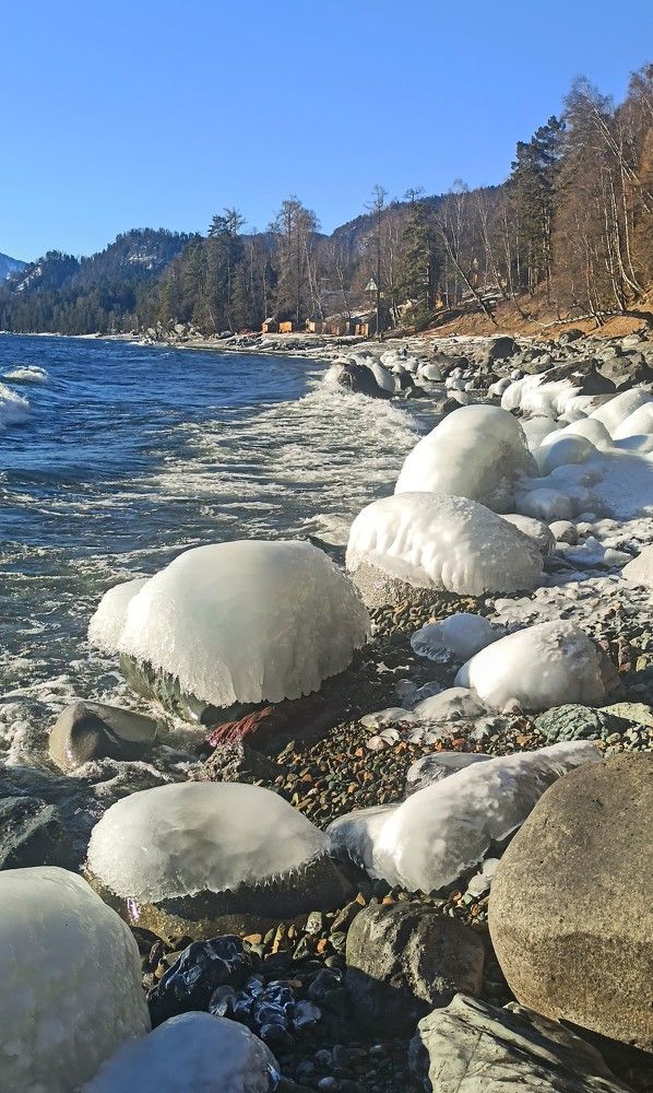 Телецкие леденцы...