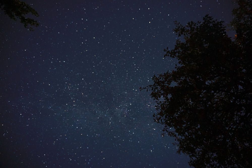 Photograph by Александра Пецевич