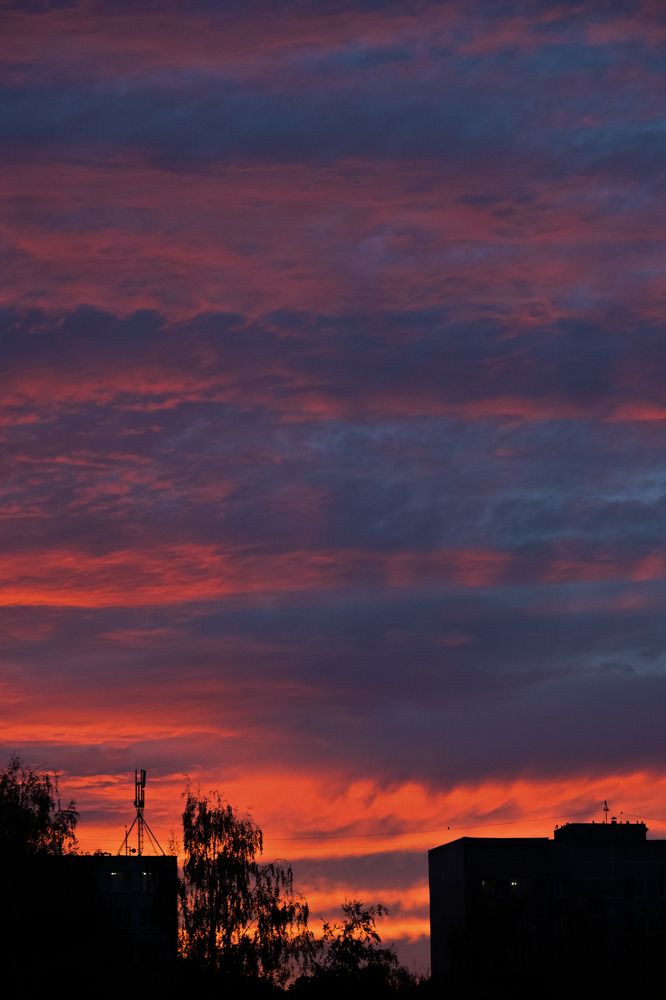 Фотография автора Екатерина Высоцкая