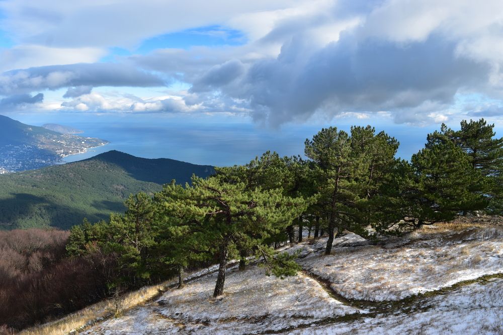 Photograph by Анна Стрельченко