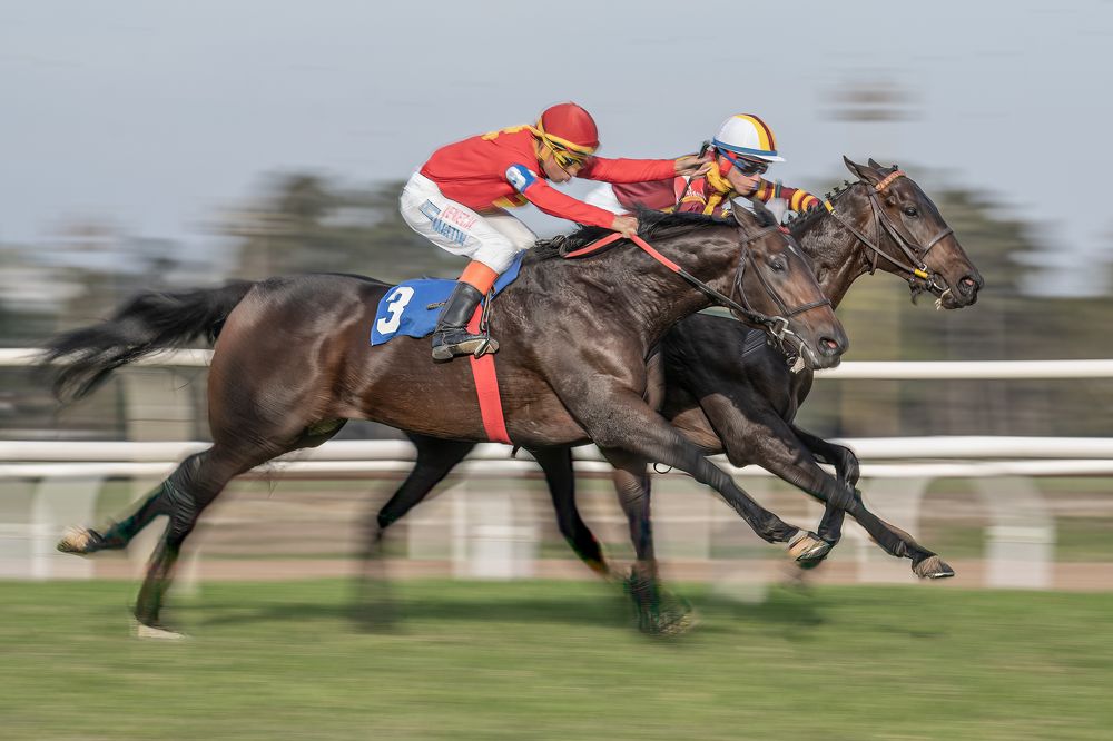 Фотография автора Carlos Gianoli