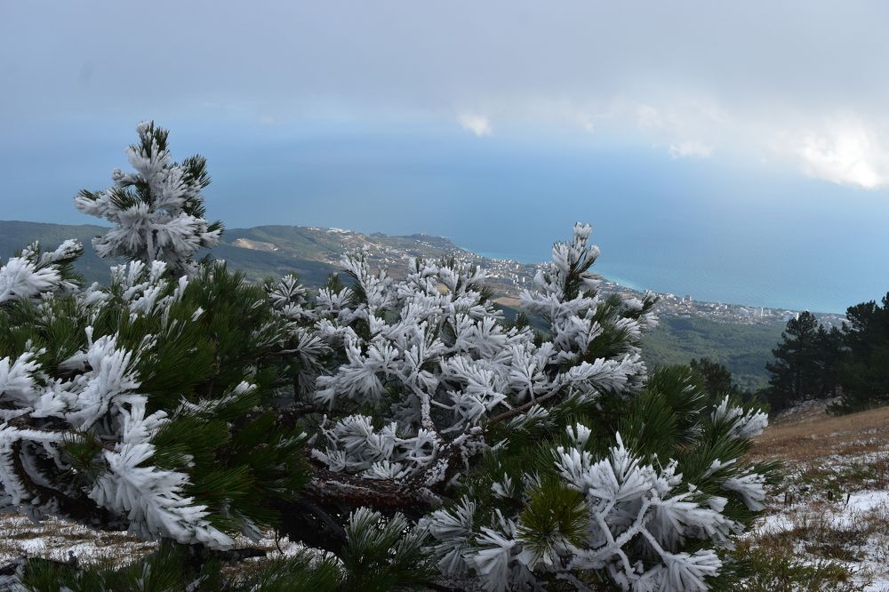 Photograph by Анна Стрельченко