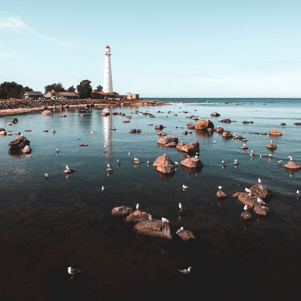 Photograph by Donatas Zvirblis