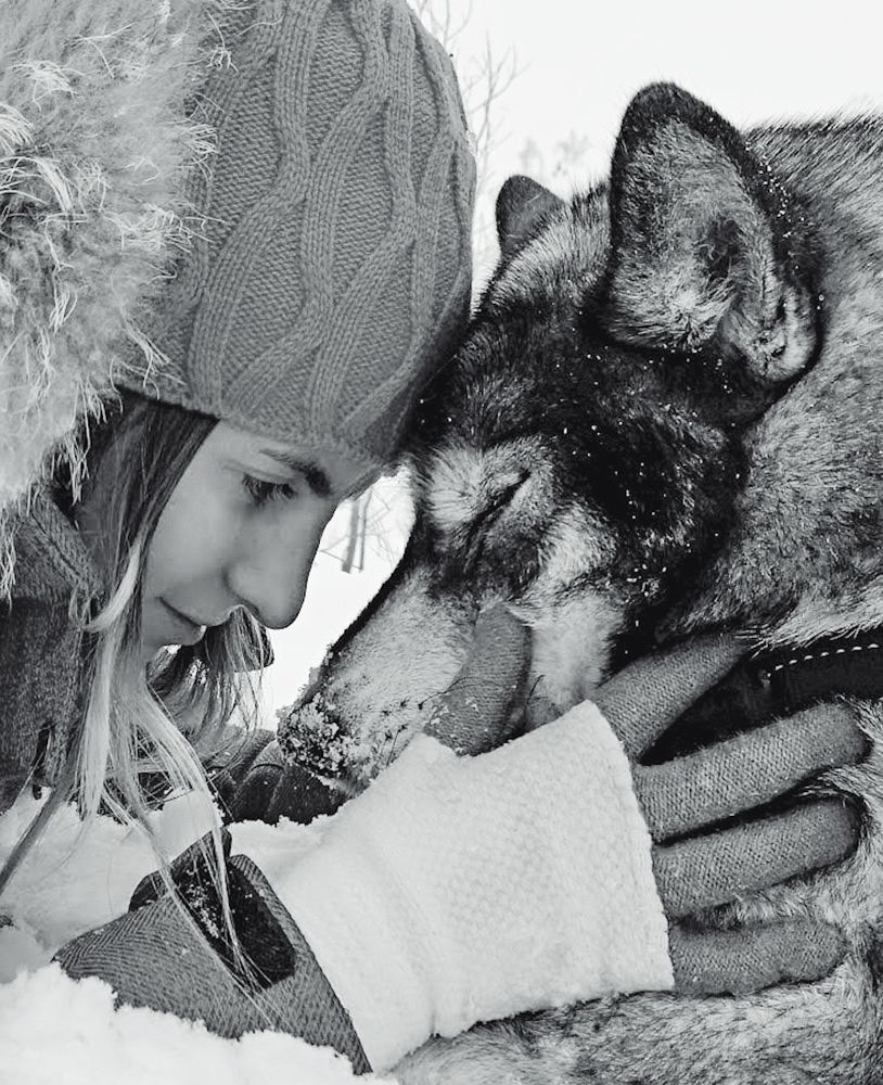 Фотография автора Ольга Сорокина