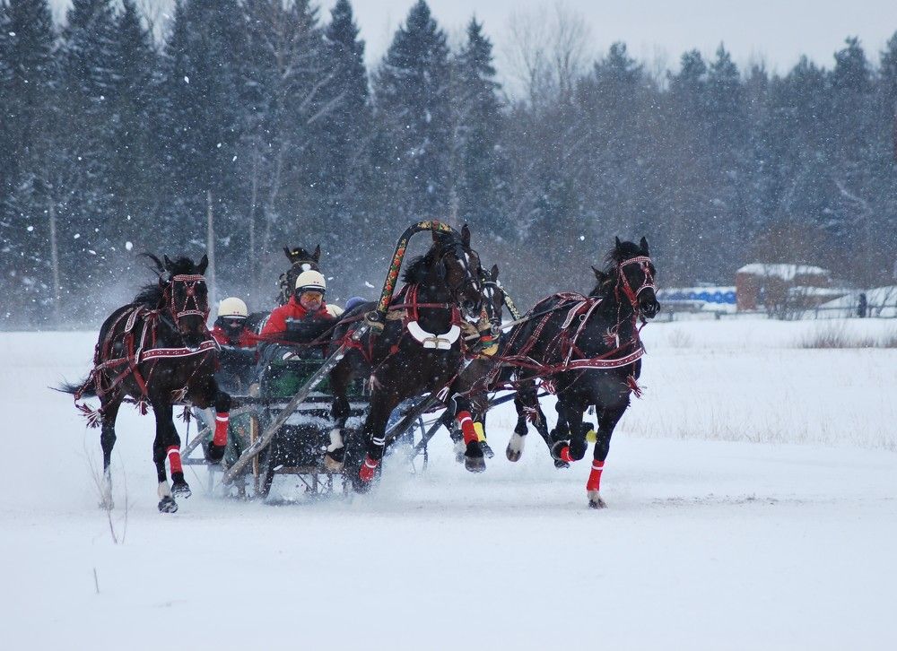 Фотография автора Наталья Липовская