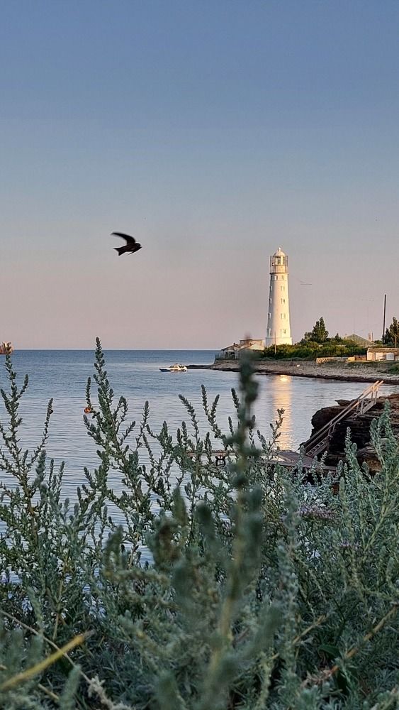 Photograph by Ангелина