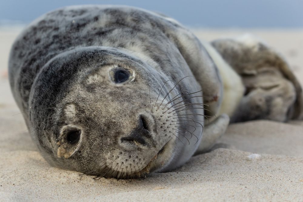 Photograph by Alexander Pakhomov