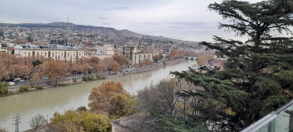 Фотография автора Revaz Topuria