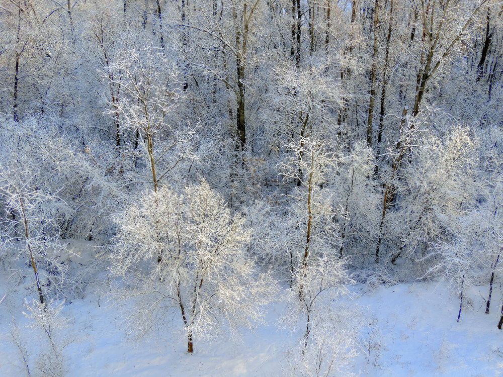 Photograph by Елена Шубочкина