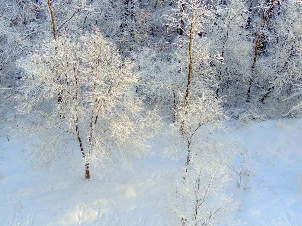 Photograph by Елена Шубочкина