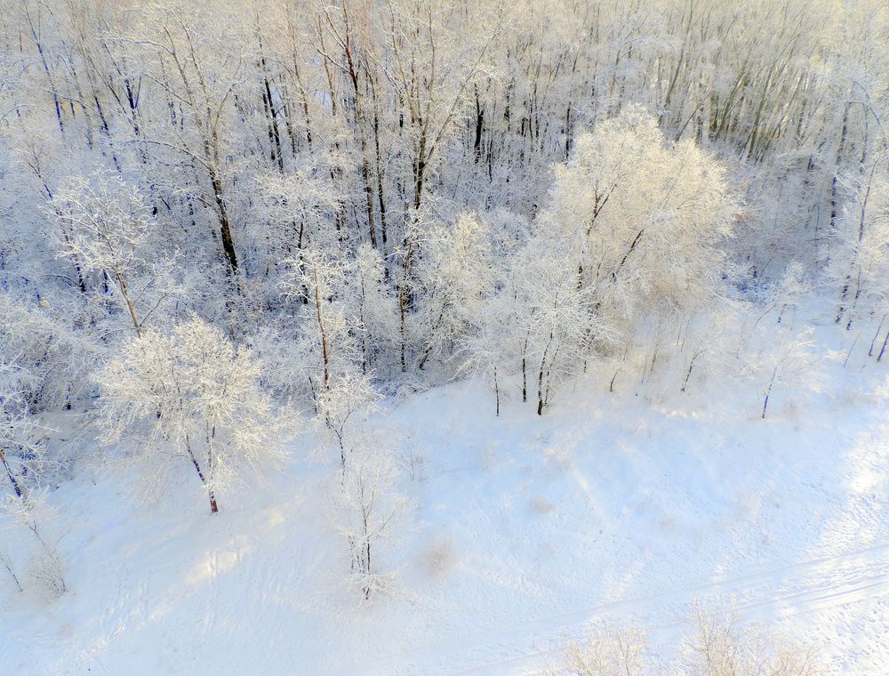 Photograph by Елена Шубочкина