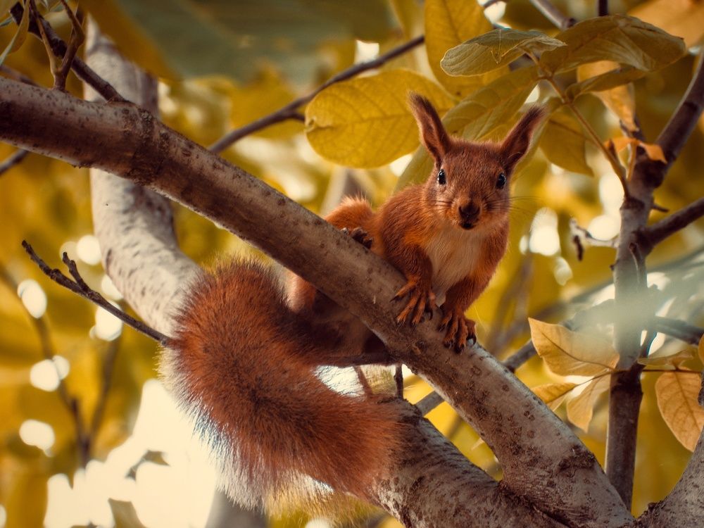 Photograph by Виктория Селютина