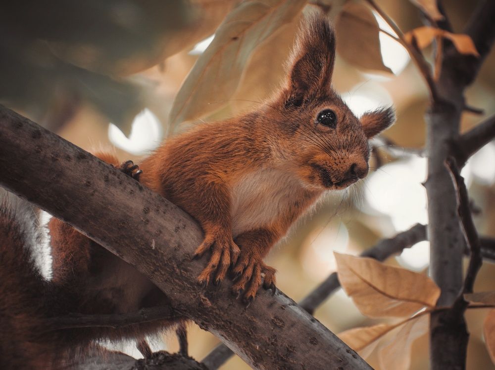 Photograph by Виктория Селютина