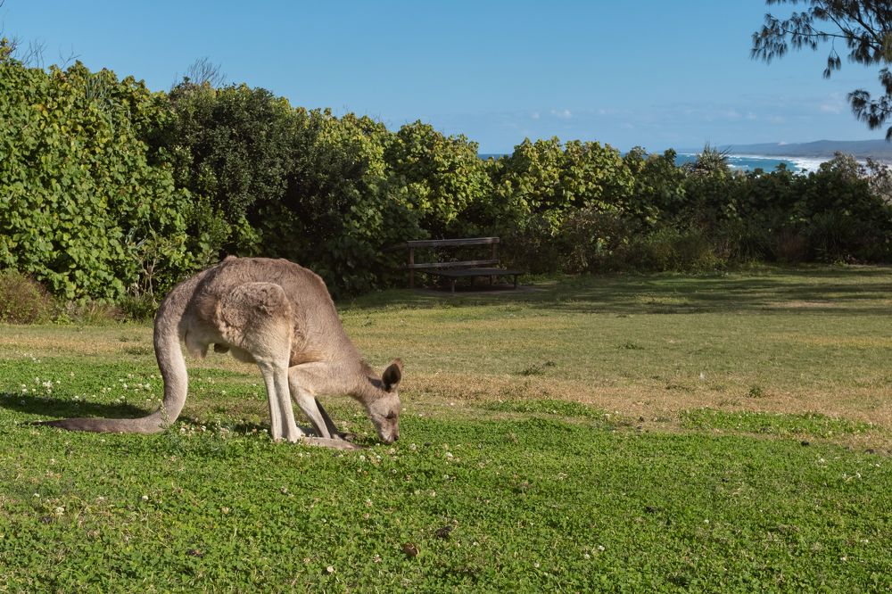 Фотография автора Alexander Pakhomov