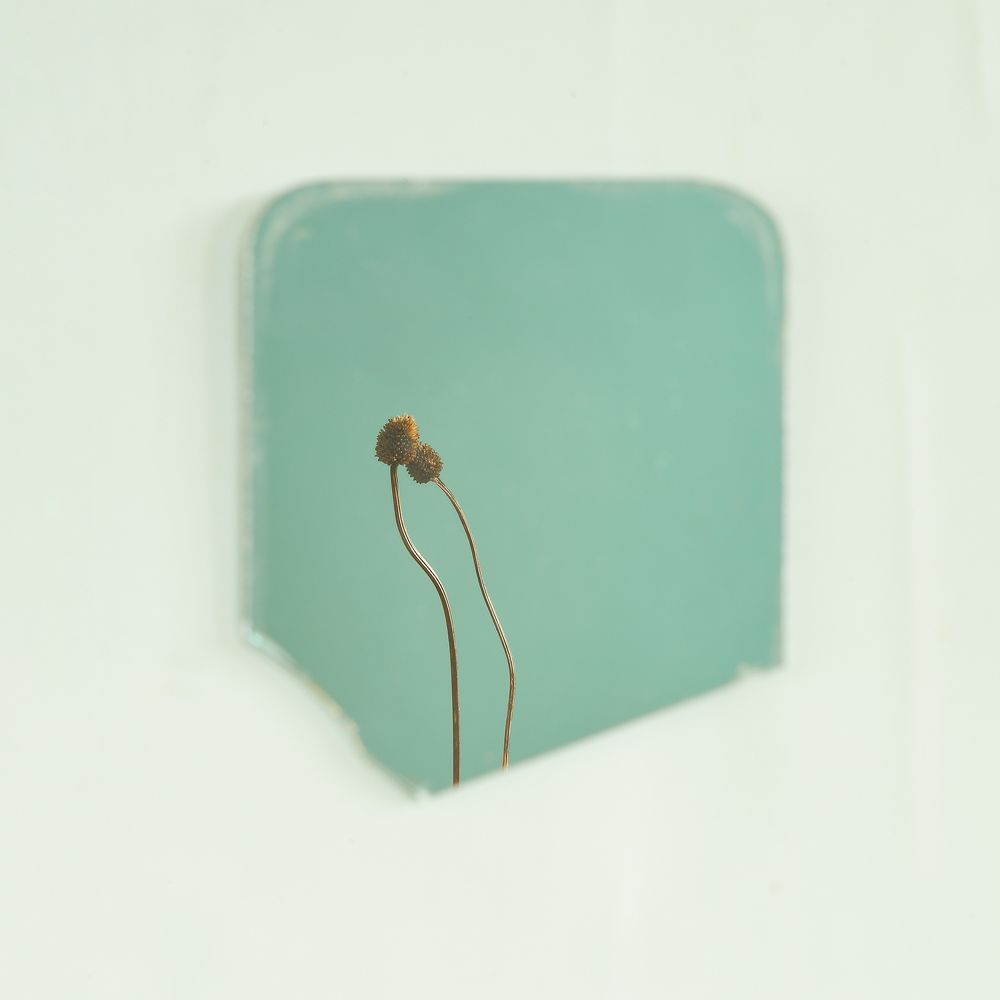 Photograph by Aliaksei Shandalin