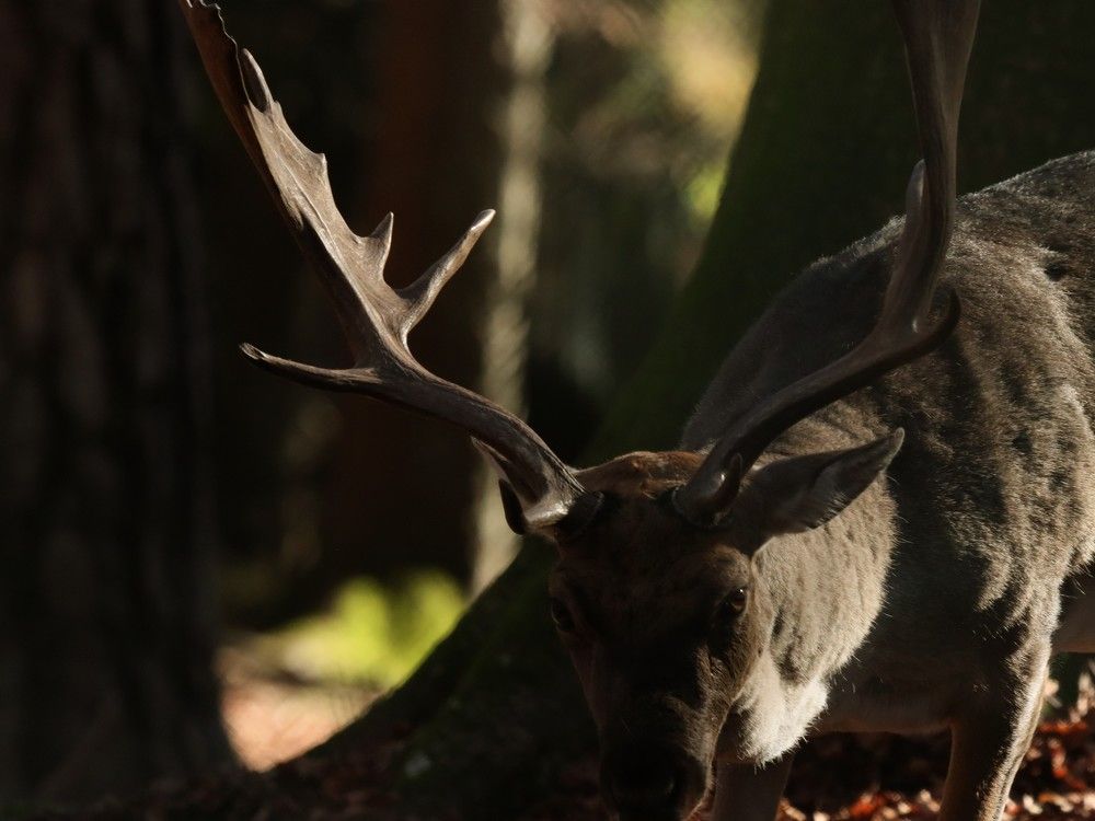 Photograph by Giuseppe Catalano