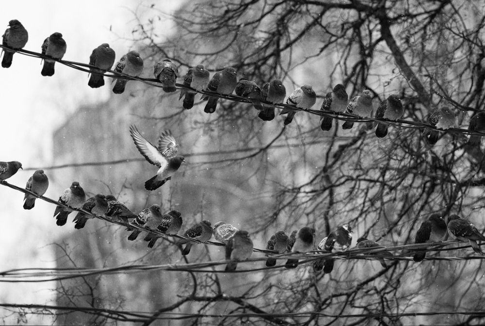 Фотография автора Андрей Алдошин