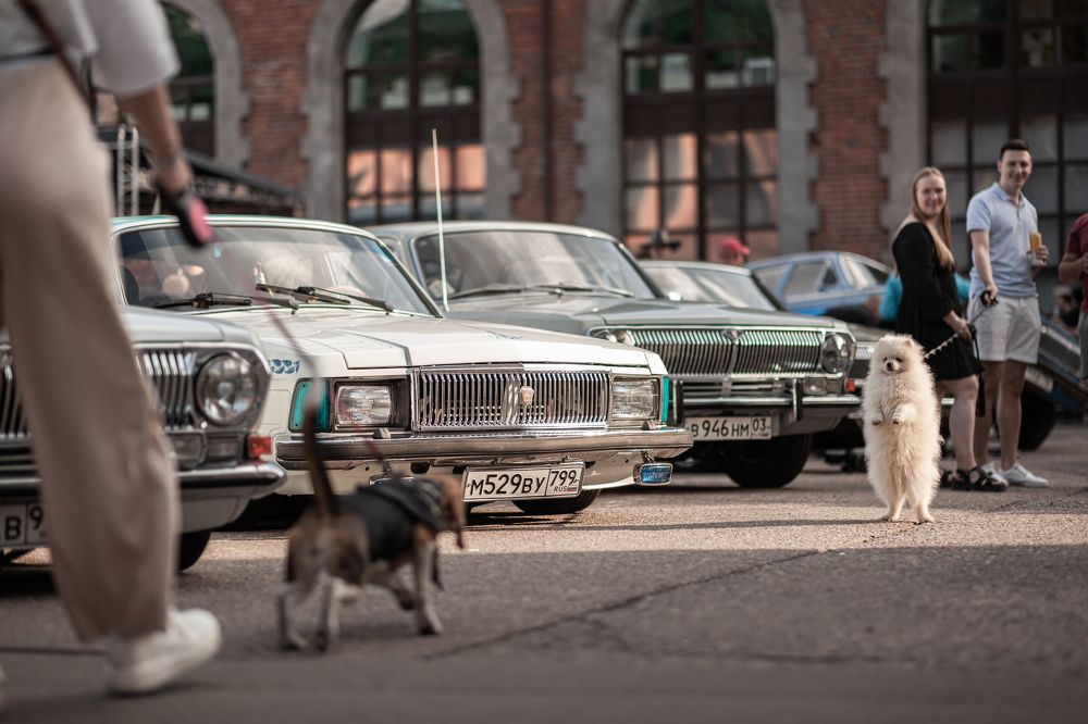 Фотография автора Бородулин Илья