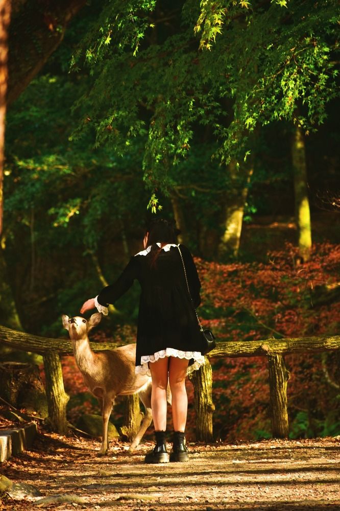 Photograph by Sen Abhijit