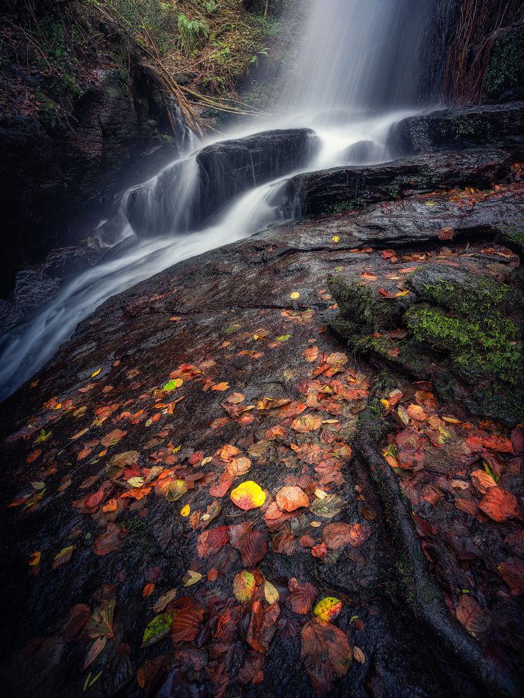 Photograph by Francisco Crusat