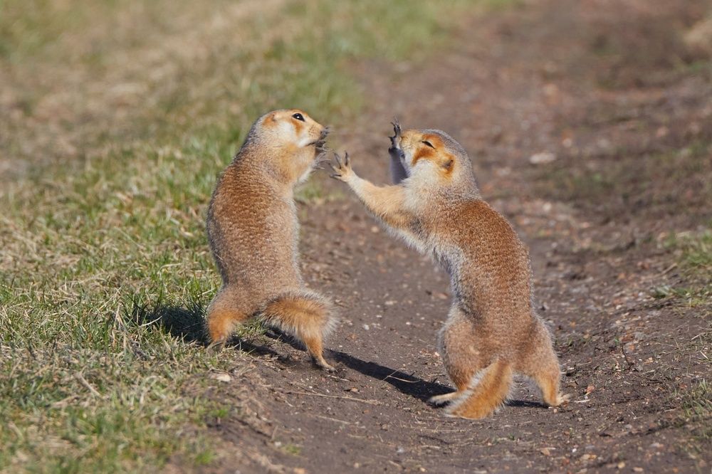Фотография автора Гильманов Артур