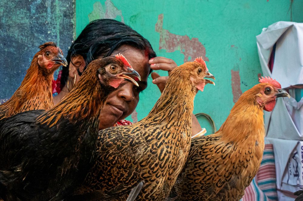 Photograph by saikat chanda