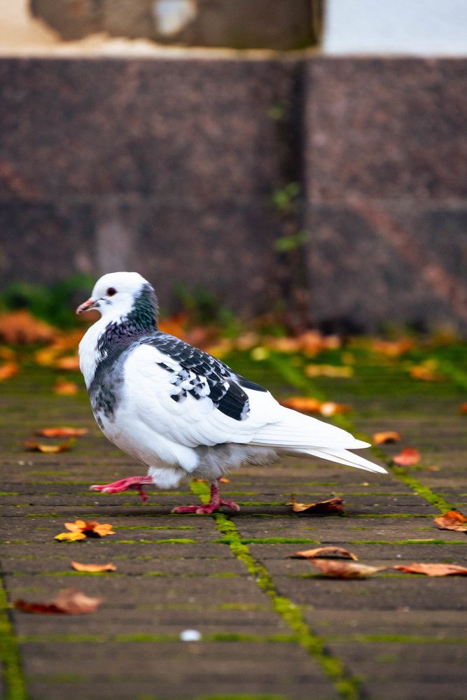 Photograph by Марина Попова