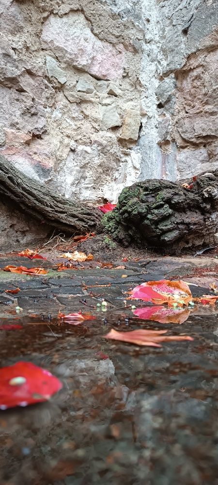 Photograph by Мария