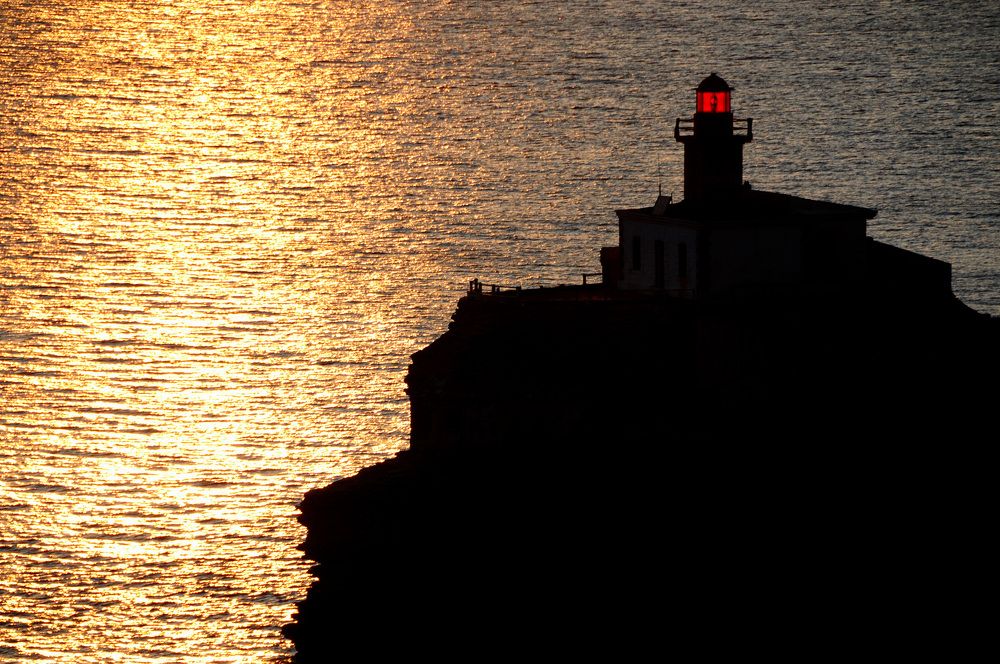 Photograph by Paolo Mola