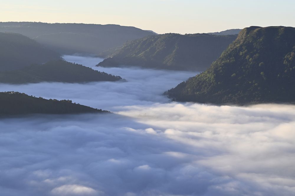 Photograph by SRIMANTA RAY