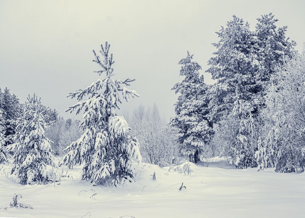 Photograph by Sergey L