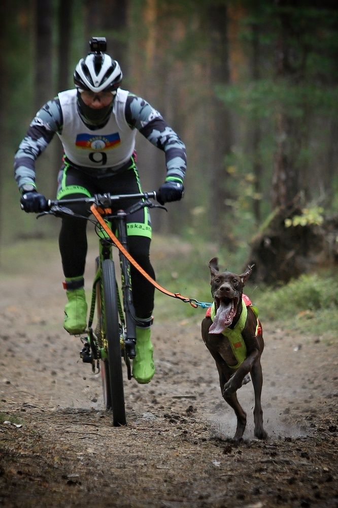 Фотография автора Елена Кириллова