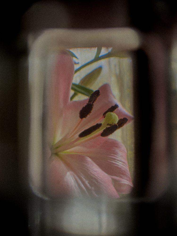 Photograph by Габрусева Анастасия