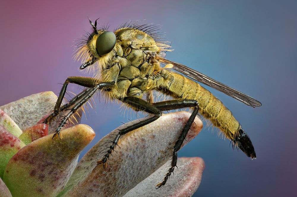 Photograph by Антон Финевич