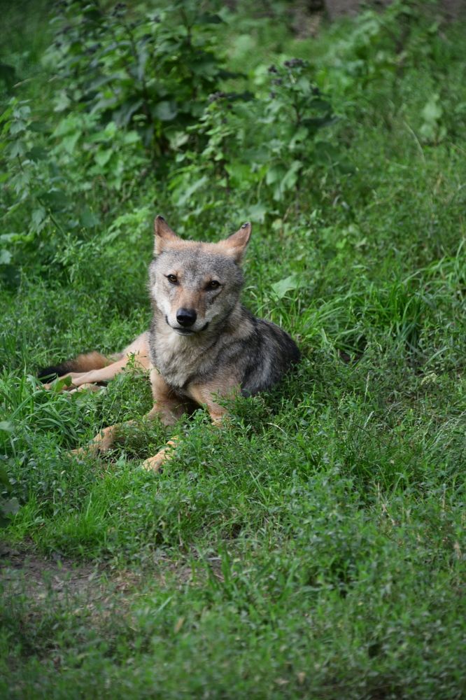 Photograph by Алексей Черкашин