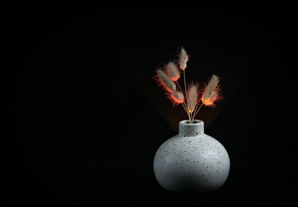 Photograph by Сергей Басов