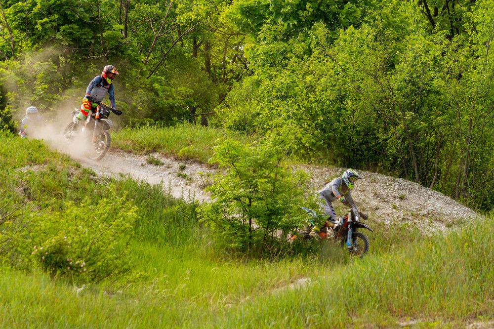 Фотография автора Алексей Тимофеев