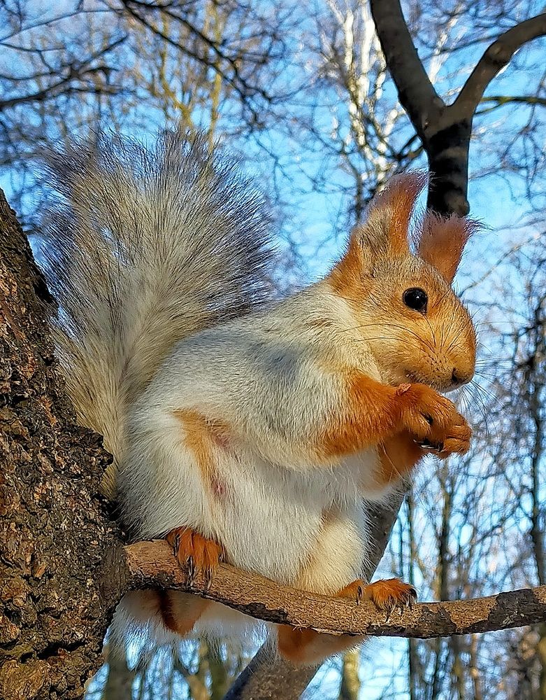 Photograph by Ольга Мартьянова