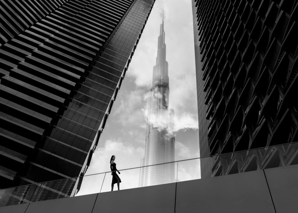 Фотография автора Ali Zolghadri