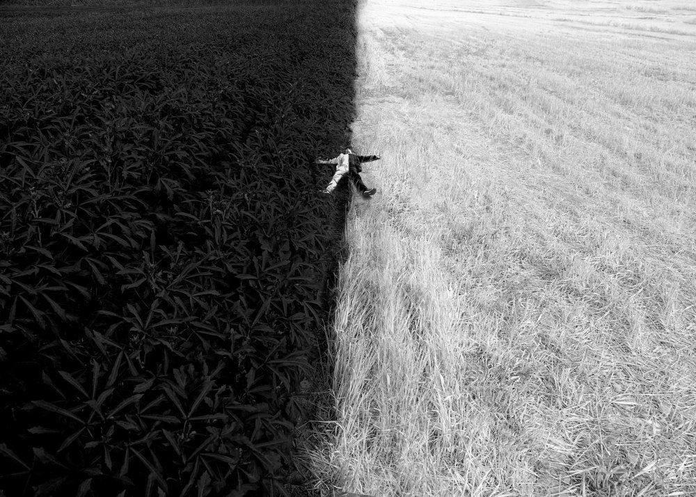 Фотография автора Ali Zolghadri