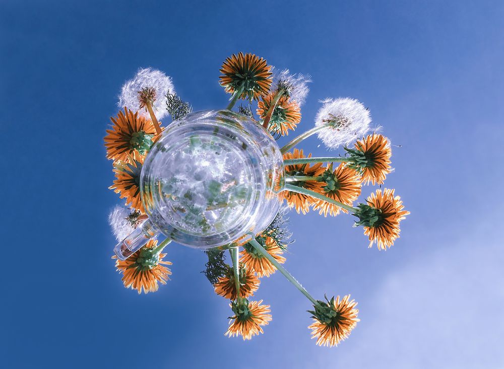 Парящие цветы